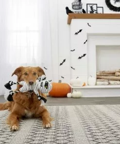 Frisco Mummy Plush with Rope Squeaky Dog Toy -Pet Food Gear Shop 161354 PT2. SY630 V1563230312