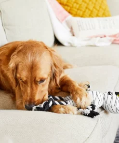 Frisco Mummy Plush with Rope Squeaky Dog Toy -Pet Food Gear Shop 161354 PT6. SY630 V1597599395