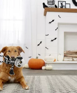 Frisco Halloween Skeleton Plush with Rope Squeaky Dog Toy -Pet Food Gear Shop 161358 PT2. SY630 V1563230245