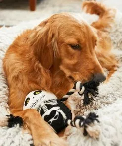 Frisco Halloween Skeleton Plush with Rope Squeaky Dog Toy -Pet Food Gear Shop 161358 PT6. SY630 V1597599370