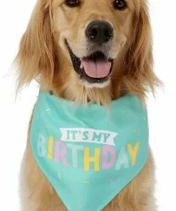 Frisco Dog & Cat Birthday Bandana 9 Frisco Dog & Cat Birthday Bandana -Pet Food Gear Shop 162803 PT2. SY630 V1633086083