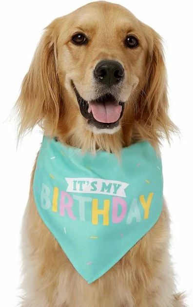 Frisco Dog & Cat Birthday Bandana 5 Frisco Dog & Cat Birthday Bandana - Image 3