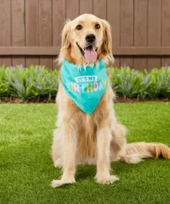 Frisco Dog & Cat Birthday Bandana 11 Frisco Dog & Cat Birthday Bandana -Pet Food Gear Shop 162803 PT5. SY630 V1568147526