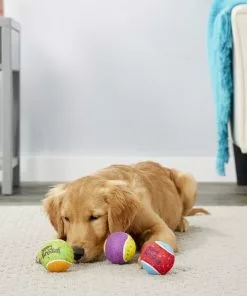 Frisco Fetch Squeaking Birthday Tennis Ball Dog Toy, 3-Pack -Pet Food Gear Shop 162914 PT2. SY630 V1565379548