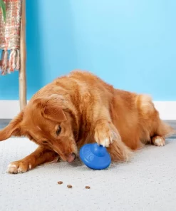 Frisco Rubber Flying Saucer Treat Dispenser Dog Toy 9 Frisco Rubber Flying Saucer Treat Dispenser Dog Toy -Pet Food Gear Shop 164757 PT4. SY630 V1604676731