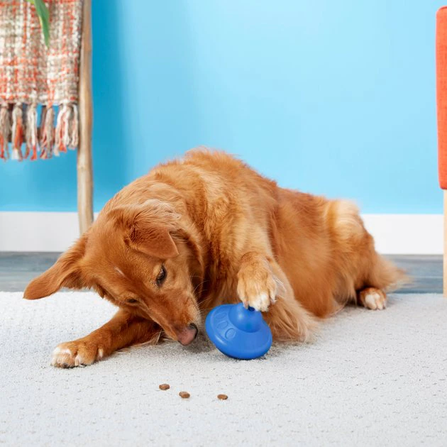 Frisco Rubber Flying Saucer Treat Dispenser Dog Toy 6 Frisco Rubber Flying Saucer Treat Dispenser Dog Toy - Image 4