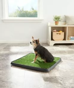 Frisco Indoor Grass Potty -Pet Food Gear Shop 166343 PT2. SY630 V1657656049