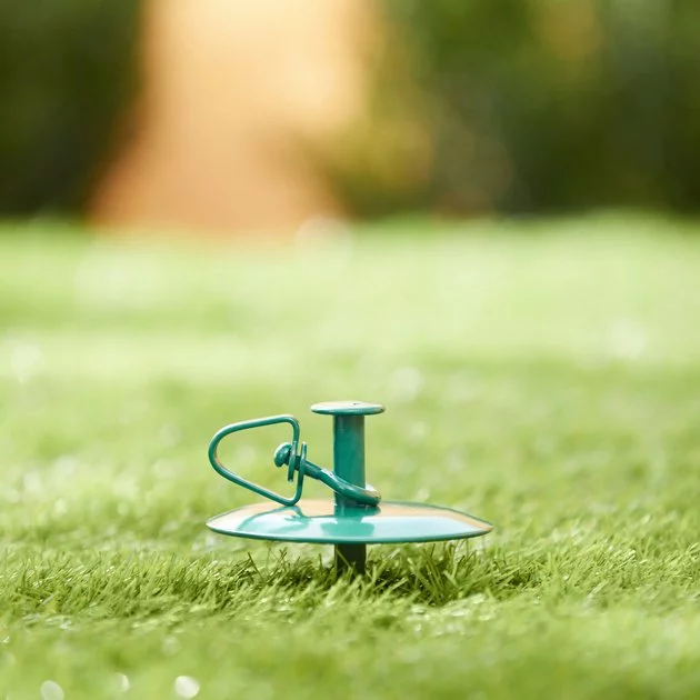 Frisco Dome Stake 4 Frisco Dome Stake - Image 2