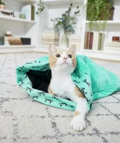 Frisco Kitty Play Sack Cat Toy, Teal -Pet Food Gear Shop 166486 PT4. SY630 V1573664900