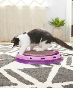 Frisco Scratch & Roll Scratcher Cat Toy with Catnip -Pet Food Gear Shop 166516 PT3. SY630 V1573664911