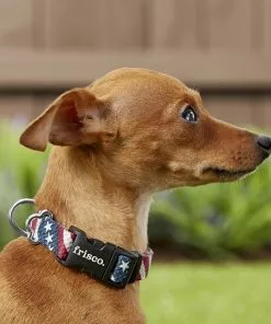 Frisco American Flag Polyester Dog Collar -Pet Food Gear Shop 172487 PT2. SY630 V1629152228