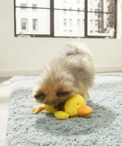 Frisco Plush Squeaky Duck Dog Toy -Pet Food Gear Shop 174684 PT2. SY630 V1573492408