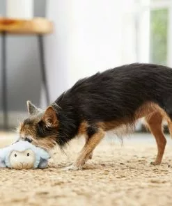 Frisco Plush Squeaking Lamb Dog Toy -Pet Food Gear Shop 174686 PT2. SY630 V1573597393