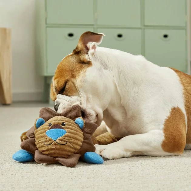 Frisco Corduroy Plush Squeaking Lion Dog Toy 5 Frisco Corduroy Plush Squeaking Lion Dog Toy - Image 3