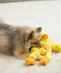 Frisco Plush with Inside Rope Squeaking Duck Dog Toy -Pet Food Gear Shop 174723 PT2. SY630 V1573492709