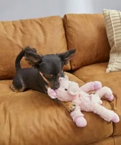 Frisco Plush with Inside Rope Squeaking Pig Dog Toy -Pet Food Gear Shop 174725 PT2. SY630 V1573492728