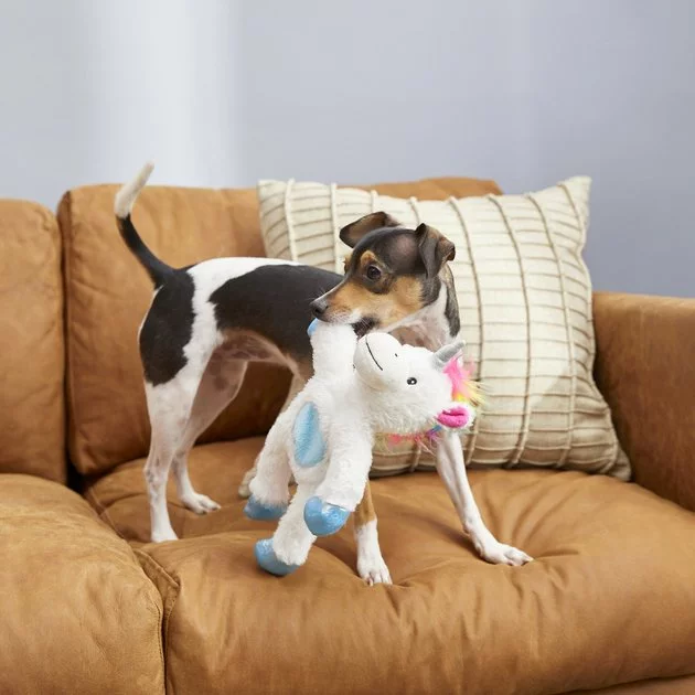 Frisco Plush with Inside Rope Squeaking Unicorn Dog Toy 5 Frisco Plush with Inside Rope Squeaking Unicorn Dog Toy - Image 3