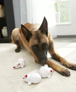 Frisco Hide & Seek Chicken Dog Toy Refills, 3-pack -Pet Food Gear Shop 174764 PT2. SY630 V1574271542