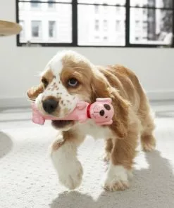 Frisco Latex Squeaky Puppy Toy -Pet Food Gear Shop 174774 PT2. SY630 V1573492803