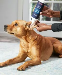 Frisco Antiseptic Dog, Cat & Horse Ear Flush Rinse -Pet Food Gear Shop 178705 PT3. SY630 V1582124328