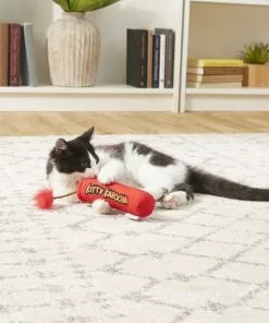 Frisco Crinkle Kitty Kaboom Kicker Cat Toy with Catnip -Pet Food Gear Shop 183271 PT2. SY630 V1573748602