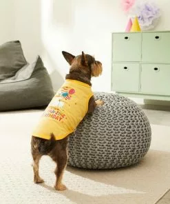 Frisco Llama-zing Birthday Dog & Cat T-Shirt -Pet Food Gear Shop 191240 PT4. SY630 V1582053521