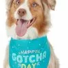 Frisco Happy Gotcha Day Dog & Cat Bandana