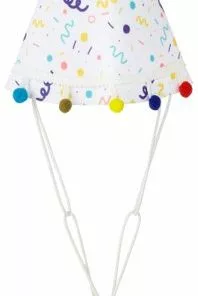 Frisco Confetti Dog & Cat Birthday Hat -Pet Food Gear Shop 191274 PT4. SY630 V1582053256
