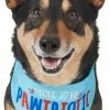 Frisco Pawtriot Dog & Cat Bandana 2 Frisco Pawtriot Dog & Cat Bandana -Pet Food Gear Shop 191277 Main. SY630 V1584623866