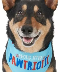 Frisco Pawtriot Dog & Cat Bandana