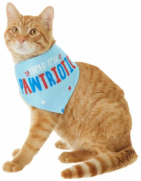 Frisco Pawtriot Dog & Cat Bandana 5 Frisco Pawtriot Dog & Cat Bandana - Image 3