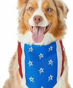 Frisco Stars & Stripes Dog & Cat Bandana 10 Frisco Stars & Stripes Dog & Cat Bandana -Pet Food Gear Shop 191288 PT3. SY630 V1632420375