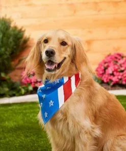 Frisco Stars & Stripes Dog & Cat Bandana 11 Frisco Stars & Stripes Dog & Cat Bandana -Pet Food Gear Shop 191288 PT4. SY630 V1632423083