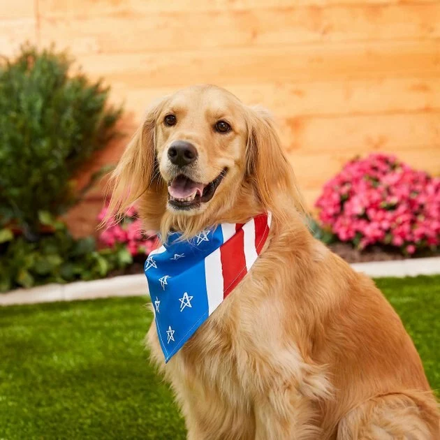 Frisco Stars & Stripes Dog & Cat Bandana 7 Frisco Stars & Stripes Dog & Cat Bandana - Image 5