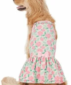 Frisco Pink Floral Dog & Cat Dress -Pet Food Gear Shop 191295 PT2. SY630 V1637653354