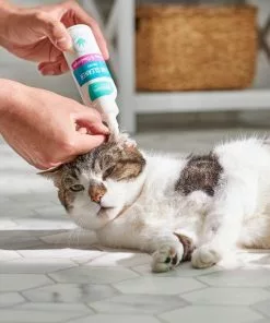 Frisco Cat Ear Cleaner -Pet Food Gear Shop 192094 PT4. SY630 V1589487657