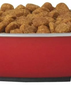 Frisco Heavy Duty Non-Skid Saucer Cat Bowl 10 Frisco Heavy Duty Non-Skid Saucer Cat Bowl -Pet Food Gear Shop 204461 PT2. SY630 V1598449859