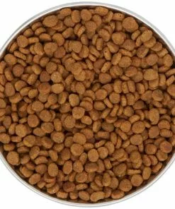 Frisco Heavy Duty Non-Skid Saucer Cat Bowl 12 Frisco Heavy Duty Non-Skid Saucer Cat Bowl -Pet Food Gear Shop 204461 PT4. SY630 V1599240354