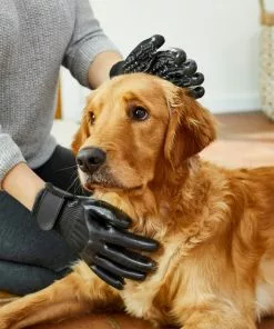 Frisco Dog & Cat Deshedding & Grooming Gloves, Black 12 Frisco Dog & Cat Deshedding & Grooming Gloves, Black -Pet Food Gear Shop 206842 PT5. SY630 V1610766542