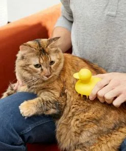 Frisco Rubber Duckie Dog & Cat Curry Brush 9 Frisco Rubber Duckie Dog & Cat Curry Brush -Pet Food Gear Shop 206849 PT8. SY630 V1600915956
