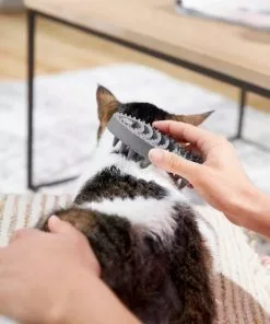 Frisco Cat Curry Brush -Pet Food Gear Shop 206853 PT8. SY630 V1600915900