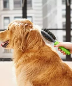 Frisco Cat & Dog Pin Bristle Brush -Pet Food Gear Shop 206855 PT8. SY630 V1600915965