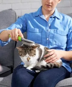 Frisco Cat & Dog Pin Brush, One-Size -Pet Food Gear Shop 206861 PT8. SY630 V1600915974