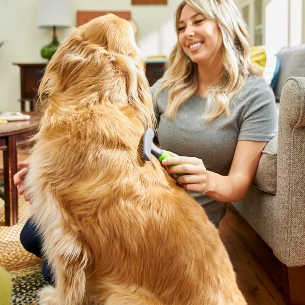 Frisco Shedding Rake Dog & Cat Brush 6 Frisco Shedding Rake Dog & Cat Brush - Image 4