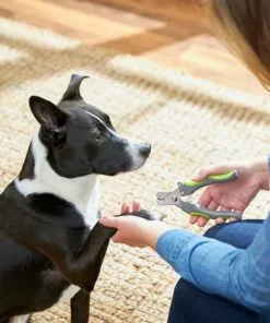 Frisco Dog Nail Trimmer -Pet Food Gear Shop 206877 PT8. SY630 V1600915891
