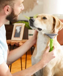 Frisco Deshedding Dog & Cat Brush -Pet Food Gear Shop 206890 PT7. SY630 V1600915870