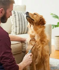 Frisco Shedding Blade Dog Brush, One Size -Pet Food Gear Shop 206895 PT8. SY630 V1600915985