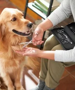 Frisco Dog & Cat Grooming Shears Kit -Pet Food Gear Shop 206903 PT4. SY630 V1604009923