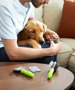 Frisco Beginner Grooming Kit for Dogs & Cats, 4-pack -Pet Food Gear Shop 206909 PT8. SY630 V1600916167