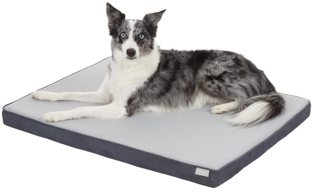 Frisco Cooling Orthopedic Pillow Dog Bed w/Removable Cover 5 Frisco Cooling Orthopedic Pillow Dog Bed w/Removable Cover - Image 3